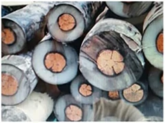 Municipal Solid Waste Sorting Line